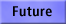Future: